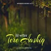 About Tere Aashiq Song